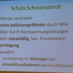 0077 Energie Zukunft BUND Hessen M Krauss Folie 10.jpg